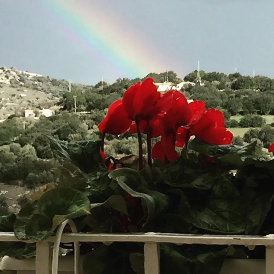 Il Duomo Relais Guest House Ragusa